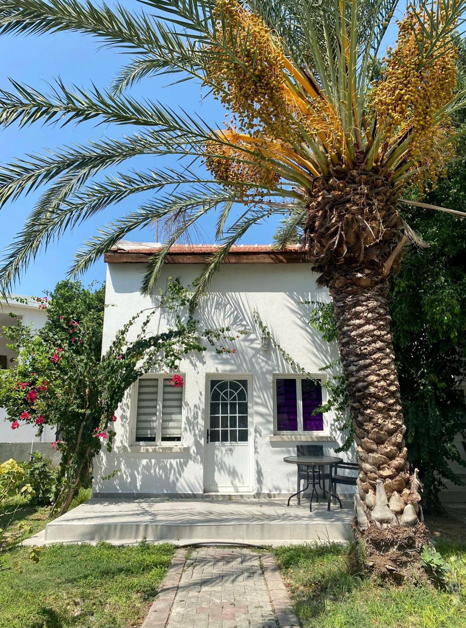 The & 3* Agios Georgios (Kyrenia)